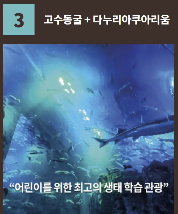 고수동굴+다누리아쿠아리움 패키지