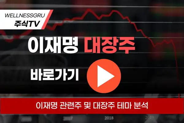 이재명 대장주