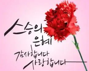 스승의 날 문구 이미지 2