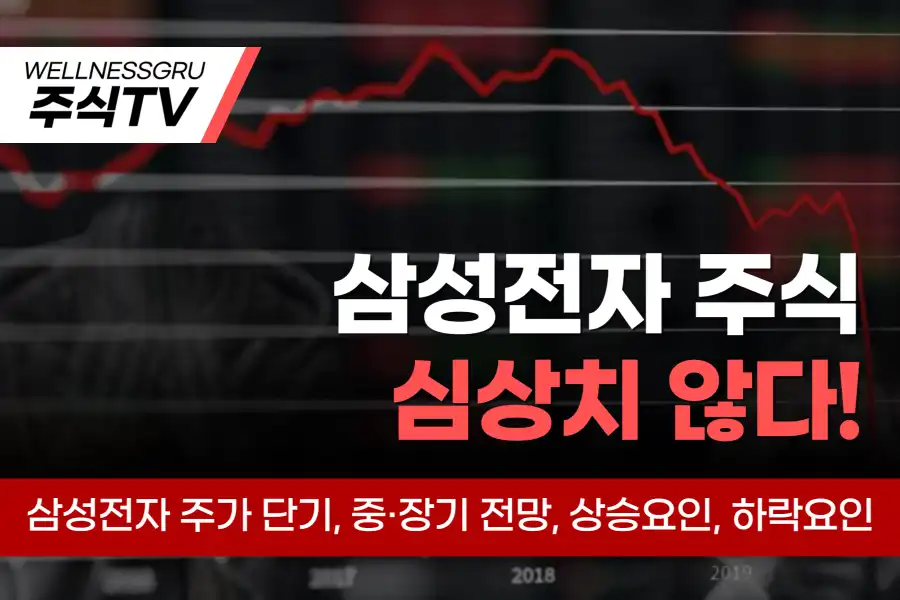 삼성전자 주가 상승요인, 하락요인